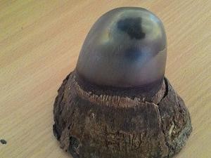 Pasutri Penjual Cula Badak Ditangkap, Ini Barang Buktinya