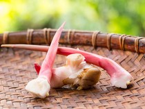 Daftar Penyakit yang Bisa Diredakan dengan Minum Air Rebusan Lengkuas