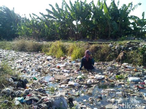 Para petani membersihkan sampah di sungai/