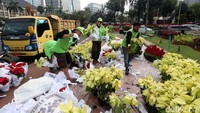 Bunga ditata tanpa dicopot dari potnya.