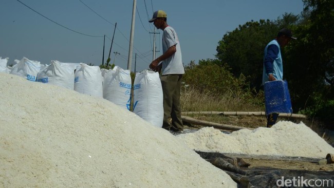Polemik Impor Garam Industri hingga Jokowi Cabut Kewenangan Susi