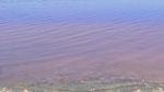 Pernah Lihat Danau Pink Ini?