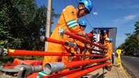Sepanjang Januari hingga Juli 2017, PLN Distribusi Jawa Barat telah menyelamatkan 26.441.753 kWh atau setara dengan Rp 27.260.731.037,- dari kegiatan pemeliharaan jaringan listrik bertegangan 20.000 Volt tanpa harus melakukan pemadaman dengan total 3.731 titik lokasi. Pool/dok. PLN.