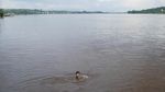 Foto: Keceriaan Anak-anak di Tepi Sungai Kapuas