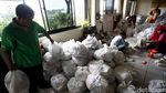 Bantuan Sosial Non Tunai PKH Rampung Agustus 2017