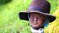 Di sawah pada umumnya, orang-orangan sawah hanya diletakkan di beberapa titik yang jumlahnya hanya satu atau dua saja. Kalau di sini, bisa banyak lho. Hiii! (CNN Travel)
