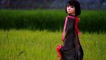 Foto: Saat Manekin Jadi Orang-orangan Sawah