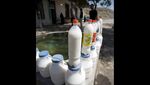 Nyess! Minuman Bersoda dengan Rasa Unik dari Belut Panggang Hingga Kari