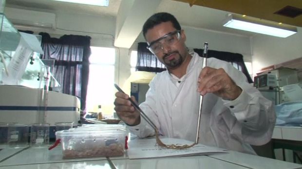 Mesin pemerah racun kalajengking menggunakan tegangan listrik untuk menstimulasi keluarnya racun kalajengking