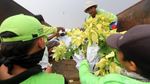 Jelang HUT RI, Kawasan Patung Kuda Dipercantik