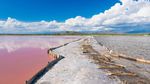 Pernah Lihat Danau Pink Ini?
