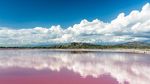 Pernah Lihat Danau Pink Ini?