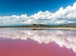 Cara Foya-foya Pendiri Uber Setelah Kaya Raya