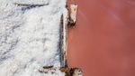 Pernah Lihat Danau Pink Ini?