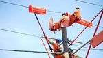 Pemeliharaan Jaringan PLN Jawa Barat