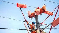 Sebanyak 15 tim PDKB-TM dari 15 Area di wilayah kerja PLN Distribusi Jawa Barat melakukan pemeliharaan jaringan secara serentak di 28 titik lokasi. Pool/dok. PLN.