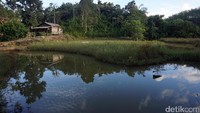 Sepanjang perjalanan, hanya ada satu gubuk/rumah yang kami lihat di sana.