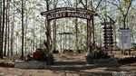Foto: Tempat Foto Kekinian di Bukit Panguk, Yogyakarta