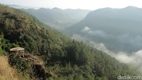 Salah satu spot foto dengan latar belakang bukit dan lembah hijau. Kebayang dong bagaimana indahnya berfoto di spot ini? (Randy/detikTravel)