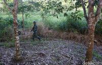 Tentara patroli menuju jalan tikus.