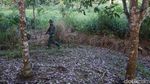 Foto: Melihat Jalur Tikus, Jalan Masuk Barang Selundupan Malaysia ke Indonesia