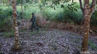 Komandan Satgas Pamtas Yonif  131/Brs, Letkol Inf Denny, mengatakan medan patroli di wilayah penjagaannya cukup bervariasi. Untuk wilayah Entikong yang kami jelajahi itu tergolong medan yang datar bagi mereka.