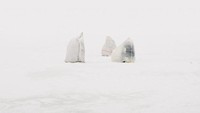 Kantong plastiknya tidak dibuat secara khusus dan hanya menyesuaikan diri saja. Mereka akan fokus memancing dan tidak peduli dengan keadaan sekitar (Aleksey Kondratyev/CNN Travel)