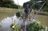 (Rachman Haryanto/detikTravel)