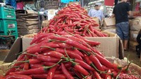 Hampir seluruh jenis cabai mengalami penurunan. Mulai dari cabai rawit merah, cabai merah keriting, hingga cabai rawit besar.