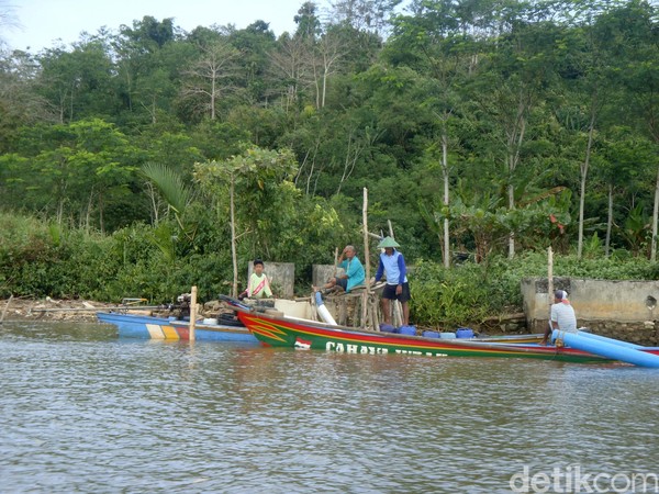 Kampung Laut di Kabupaten Cilacap, Jawa Tengah merupakan gugusan pulau-pulau kecil di Segara Anakan yang membentuk beberapa desa. Yakni Desa Ujung Alang, Desa Kleces, Desa Ujung Gagak dan Desa Panikel (Arbi/detikcom) Kampung Laut di Kabupaten Cilacap, Jawa Tengah merupakan gugusan pulau-pulau kecil di Segara Anakan yang membentuk beberapa desa. Yakni Desa Ujung Alang, Desa Kleces, Desa Ujung Gagak dan Desa Panikel (Arbi/detikcom)