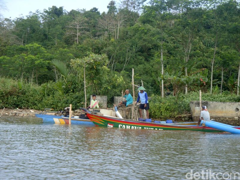 Potret Desa Wisata Seru Di Cilacap Kampung Laut