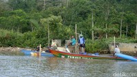 Kampung Laut di Kabupaten Cilacap, Jawa Tengah merupakan gugusan pulau-pulau kecil di Segara Anakan yang membentuk beberapa desa. Yakni Desa Ujung Alang, Desa Kleces, Desa Ujung Gagak dan Desa Panikel (Arbi/detikcom)