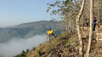 Total ada 9 spot yang ada di Bukit Panguk. Hanya perlu diingat, ada yang bayar dan ada yang gratis (Randy/detikTravel)