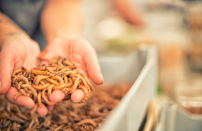 Foto: iStock Foto: iStock