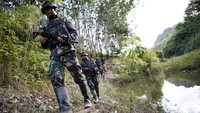Bersama pasukan tentara Satgas Pamtas (Satuan Tugas Pengamanan Perbatasan) di Entikong, tim Tapal Batas detikcom menyusuri jalan tikus yang dimaksud.