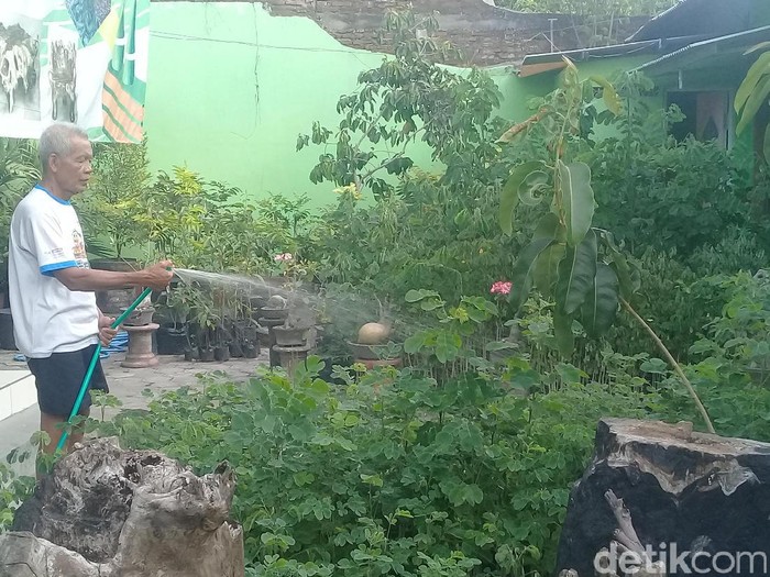 Warga Madiun Ini Bagikan Ribuan Bibit Gratis Sambut HUT ke-72 RI