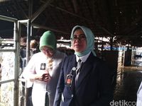 Tim Ante Mortem Cek Kondisi Hewan Kurban di Bandung