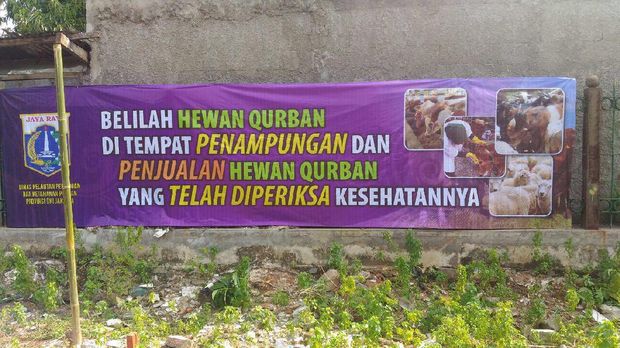 Warga yang hendak berkurban disarankan membeli hewan kurban yang sehat dan berstiker.