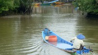 Bisa dibilang, Kampung Laut menyimpan sejumlah potensi. Antara lain industri batik khas yang dibuat oleh penduduk asli (Arbi/detikcom)