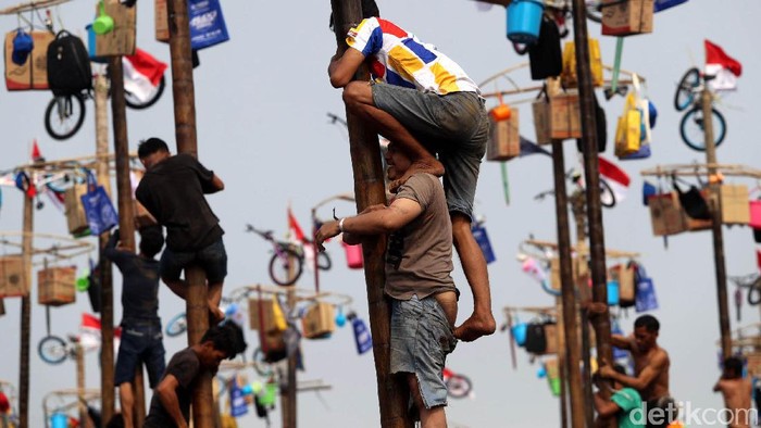 Tips sehat agar menang lomba panjat pinang. Foto: Grandyos Zafna Tips sehat agar menang lomba panjat pinang. Foto: Grandyos Zafna