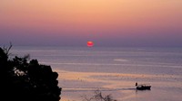 Toyama Bay adalah teluk terbesar ketiga di Jepang, terletak di sebelah utara Pulau Honshu. Teluk ini terkenal oleh fenomena Firefly Squid, cumi-cumi yang bisa menyala dalam gelap (Dok. BBC)
