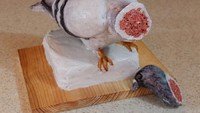 Awalnya cake berbentuk burung ini utuh dengan kepala. Tapi ketika dipotong justru cake ini terlihat menyeramkan. Bagian dalamnya terlihat seperti daging berdarah dan pembuluh-pembuluh darah. (Foto: Bussines Insider)