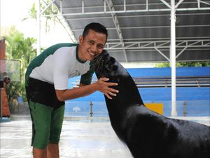 Ancol Ramaikan HUT RI ke-72 dengan Diskon Besar-Besaran