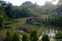 (Kurnia/detikTravel)
