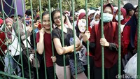 Para fans kedua bintang SNSD tersebut mulai berbaris menunggu gerbang dibuka untuk umum pukul 17.00 WIB. Mayoritas mereka datang ke acara ini untuk melihat 2 bintang Korea tersebut.
