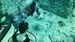 Foto: Beginilah Pemakaman di Bawah Laut