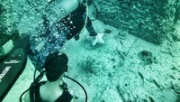 Abu kremasi dari jenazah akan dicampur dengan semen untuk dirancang di bawah air dan dipasang ke dalam cetakan yang diinginkan. Kemudian, seorang penyelam akan meletakkannya di terumbu karang (Neptune Memorial Reef/Facebook)