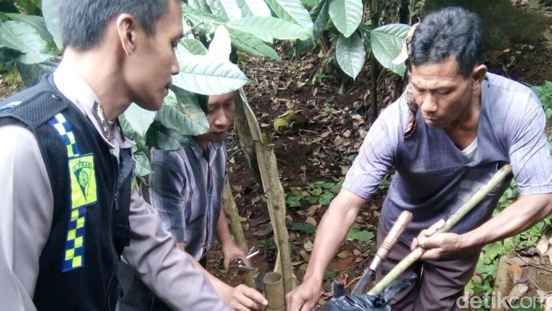 Petik Nangka, Warga Sukabumi Tewas Tersengat Listrik Petik Nangka, Warga Sukabumi Tewas Tersengat Listrik