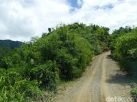 (Kurnia/detikTravel)