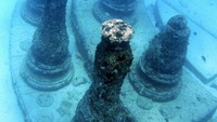 Neptune Memorial Reef berkonsep Atlantis Reef Project, menggambarkan Kota Atlantis yang konon hilang dan tenggelam (Neptune Memorial Reef/Facebook)